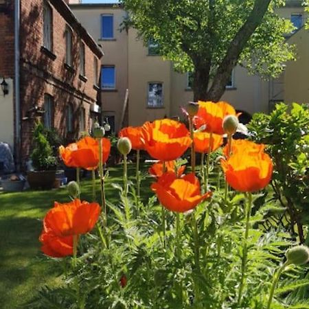 קוטבוס City Appartement Mit Garten, Zentral Und Trotzdem Ruhig מראה חיצוני תמונה