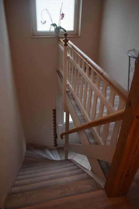 קוטבוס City Appartement Mit Garten, Zentral Und Trotzdem Ruhig מראה חיצוני תמונה